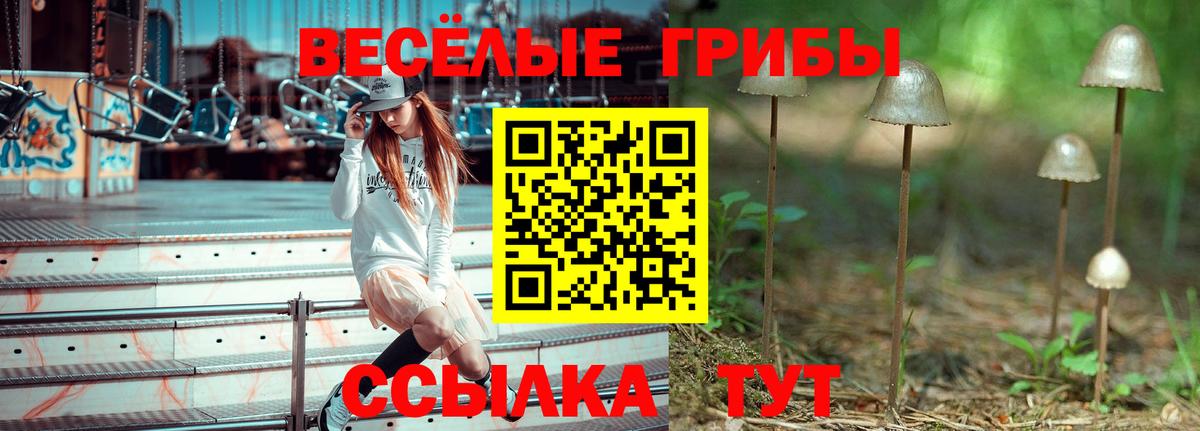 Серов  Галлюциногенные грибы Psilocybine cubensis  Вход с VPN 